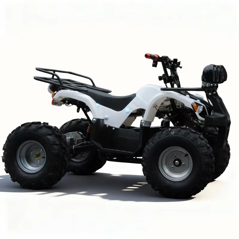 750W 48V Kinder-Elektro-ATV Qu – Kids Outdoor Electric Quad Bewertung und Preis